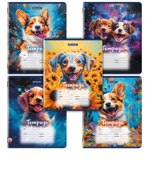 ������� 12� ����� BRAUBERG "DOGS" ������