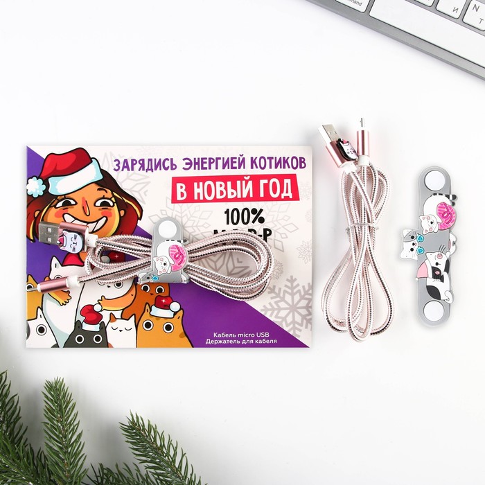����� ��������� ��� �������+������ "�������� �������� � ��!" micro USB 1�, 1�