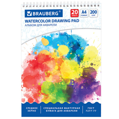 ������ �/�������� 20� BRAUBERG �� ������ �4,200�/�2
