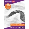 ����� �/��������� �4 20� BRAUBERG "����" 160�/�2