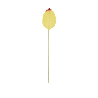 �
