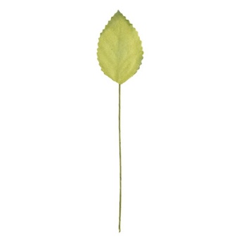 �