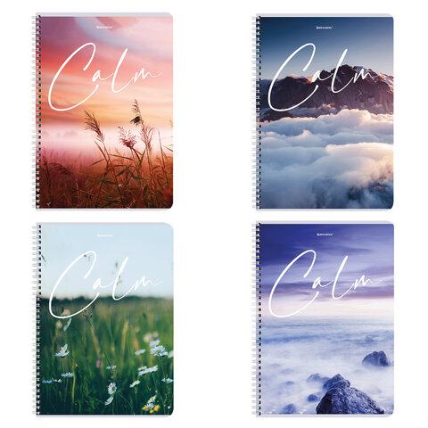 ������� �� ������ �4 96�. ������ BRAUBERG "Calm"