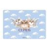 ����� �/���������� �3 ErichKrause� "Cupids"